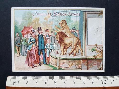 Chromo Chocolat Baron Anvers Antwerpen Leeuw Leeuwen ZOO, Verzamelen, Foto's en Prenten, Zo goed als nieuw, Prent, Dier, Voor 1940