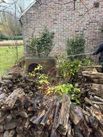 GRATIS brandhout af te halen, Tuin en Terras, Brandhout, Ophalen, Takken