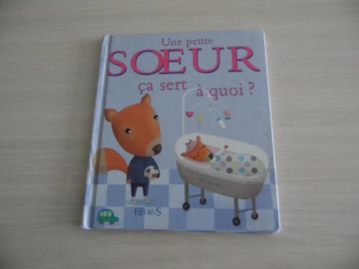 UNE PETITE SOEUR ÇA SERT À QUOI ?, Boeken, Kinderboeken | Kleuters, Zo goed als nieuw, Fictie algemeen, 4 jaar, Jongen of Meisje