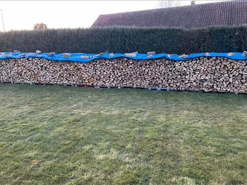 Brandhout te koop, Tuin en Terras, Brandhout, Blokken, Beukenhout, 6 m³ of meer, Ophalen