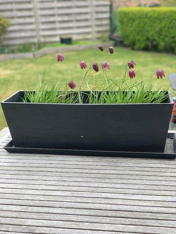 BLOEMBAKKEN "ECOPOT BRUGGE 66 - 19,5 l" beschikbaar voor biedingen