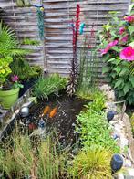 Vijver, Tuin en Terras, Vijvers, Ophalen, Gebruikt