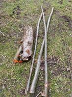 Zwarte Els, Enlèvement, Autres essences de bois, Autres types