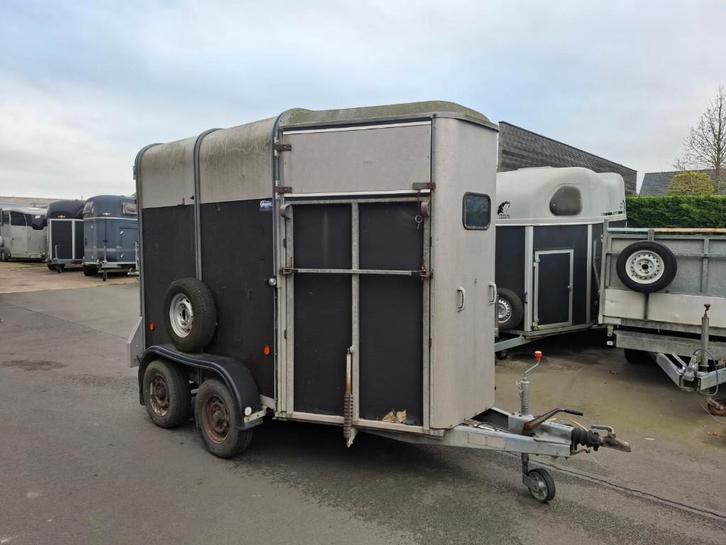 Ifor Williams paardentrailer met vooruitloop, Animaux & Accessoires, Chevaux & Poneys | Semi-remorques & Remorques, Utilisé, Remorque 2 chevaux