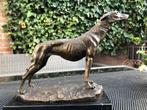 brons sculptuur greyhound windhond op marmer, Enlèvement ou Envoi