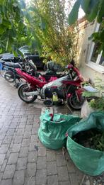 Yamha thunderrace voor onderdelen, Motoren, Motoren | Yamaha, Particulier