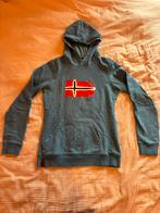 Blauwe trui met Noorse vlag, Ophalen of Verzenden, Zo goed als nieuw, Jongen, Trui of Vest
