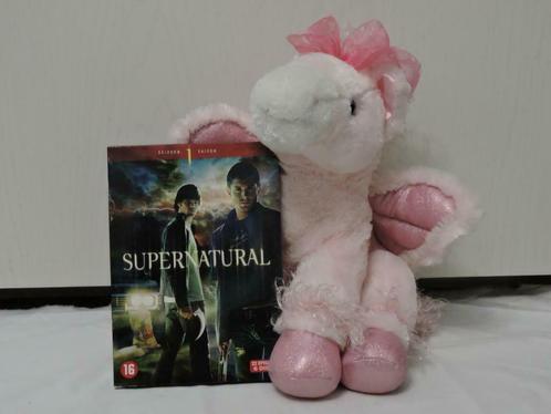 Série Supernatural Saison 1 L’HERITIERE DE LA SERIE X-FILES, Cd's en Dvd's, Dvd's | Tv en Series, Zo goed als nieuw, Boxset, Ophalen of Verzenden