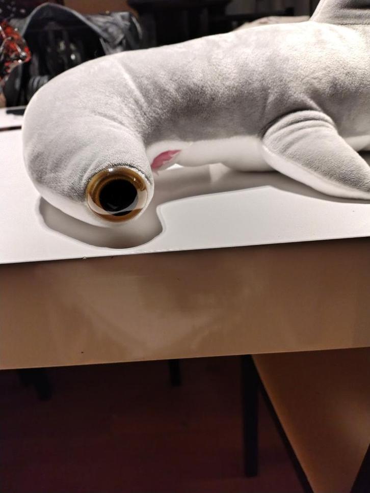 prachtige knuffel hamerhaai Pairi Daiza nieuw valentijn, Collections, Ours & Peluches, Neuf, Autres types, Autres marques, Enlèvement