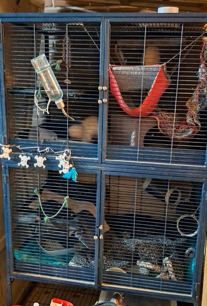 Grote knaagdierenkooi 160H X 93L X 65D, Dieren en Toebehoren, Knaagdieren en Konijnen | Hokken en Kooien, Gebruikt, Kooi, 90 cm of meer