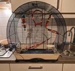 vogelkooi, Enlèvement, Utilisé, Cage à oiseaux