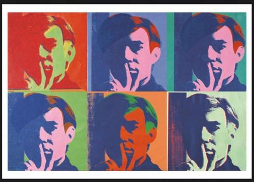 andy warhol, Antiek en Kunst, Kunst | Litho's en Zeefdrukken, Ophalen of Verzenden