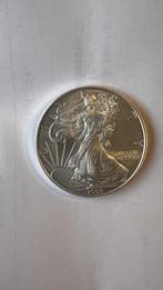 American Eagle 2009 Liberty  1 oz Zilver, Postzegels en Munten, Munten | Amerika, Zilver, Ophalen, Losse munt, Noord-Amerika