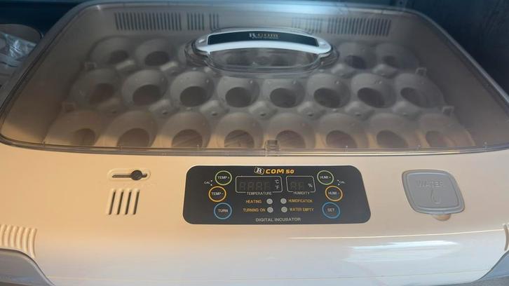 Broedmachine Rcom 50, Dieren en Toebehoren, Pluimvee | Toebehoren, Zo goed als nieuw, Broedmachine, Ophalen