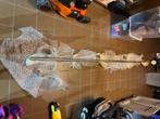 Trapleuning inox nieuw, Ophalen, Nieuw