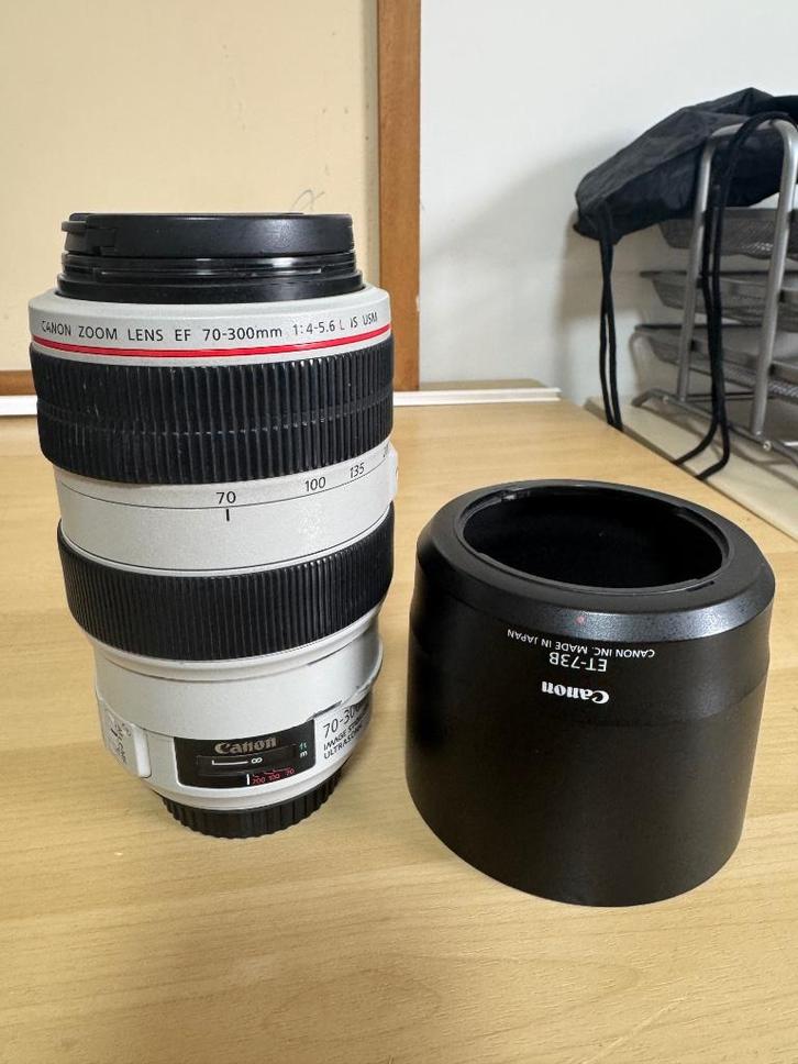 Canon EF 70-300 1:4-5.6 L IS USM, Audio, Tv en Foto, Foto | Lenzen en Objectieven, Gebruikt, Ophalen