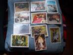 Fauna & Flora Cote D'Or, Boeken, Ophalen of Verzenden, Zo goed als nieuw, Plaatjesalbum