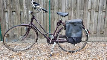 Gazelle  beschikbaar voor biedingen