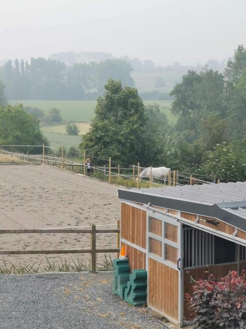 Pension boxe -paddock -prairie, Dieren en Toebehoren, Stalling en Weidegang