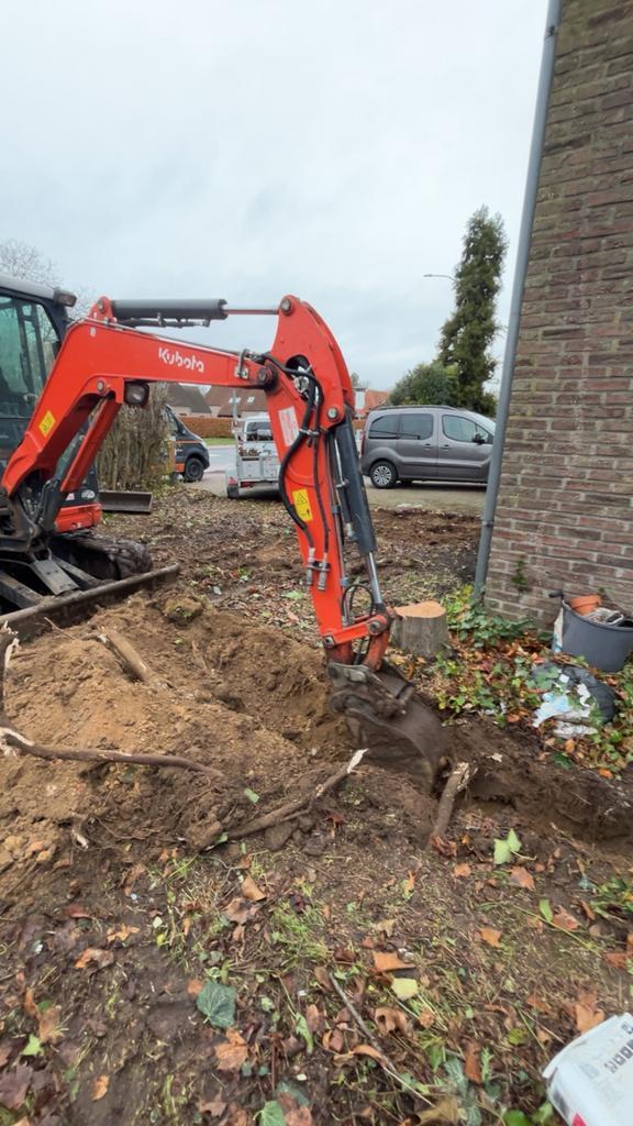 Verwijderen van boomstronken en hagen, Tuin en Terras, Overige Tuin en Terras, Ophalen