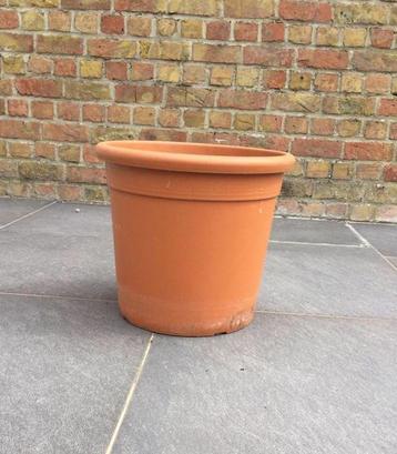 1 grote bloempot in kunststof beschikbaar voor biedingen