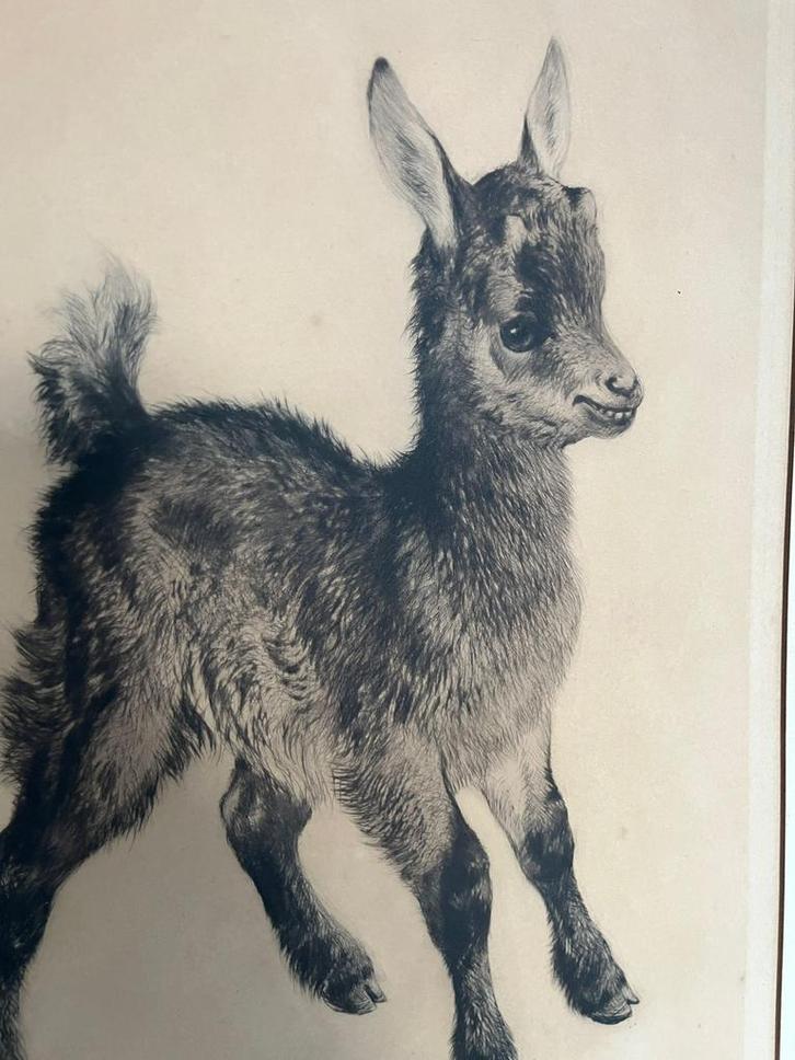 Grote Ets van Kurt Meyer Eberhardt (1895 – 1977), Antiek en Kunst, Kunst | Etsen en Gravures, Ophalen of Verzenden