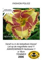 DAGLELIE hemerocallis, Tuin en Terras, Planten | Tuinplanten, Overige soorten, Volle zon, Vaste plant, Ophalen of Verzenden