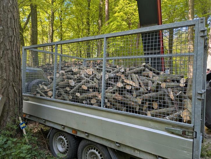brandhout beuk en eik, Tuin en Terras, Brandhout, Blokken, Beukenhout, 3 tot 6 m³, Ophalen of Verzenden