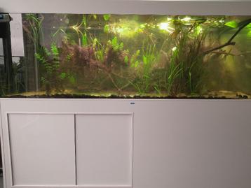 aquarium avec meuble 1,84 x 1 x 1,37m - 1100L