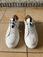 Basket Hugo boss, Vêtements | Hommes, Chaussures, Enlèvement ou Envoi, Porté