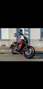Kawasaki vulcano s, Particulier