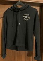 Mooie zwarte hoodie dus trui met kap, merk Hollister, maat M, Gedragen, Maat 38/40 (M), Ophalen of Verzenden, Zwart