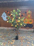 rozenbomen 2.10 m, Ophalen of Verzenden, Nieuw