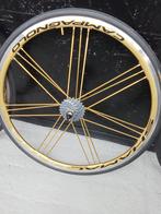 Roues campagnolo neuve jamais roulé, Neuf, Campagnolo, Vélo de course, Enlèvement