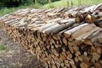 Bois de chauffage sec, 6 m³ ou plus, Enlèvement ou Envoi, Chêne, Bûches
