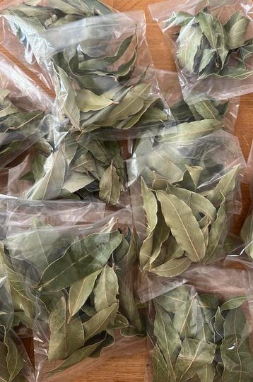 Vers gedroogde laurier uit Zuid-Frankrijk beschikbaar voor biedingen