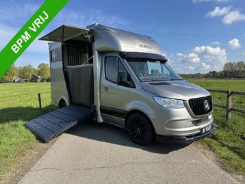 Mercedes-Benz Sprinter 317 AMG 2-paards Paardenvrachtwagen B, Gebruikt, Overige typen