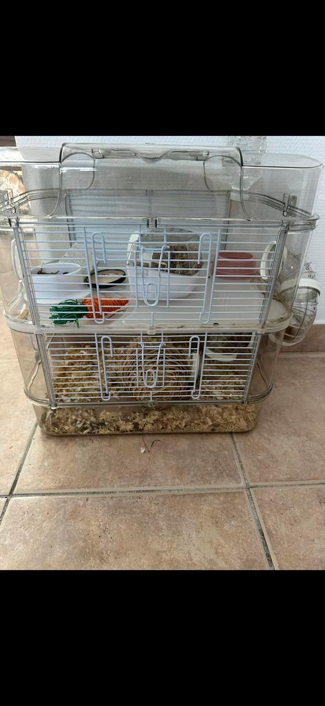 Hamsterkooi, Dieren en Toebehoren, Knaagdieren en Konijnen | Hokken en Kooien, Zo goed als nieuw, Kooi, Hamster, Ophalen