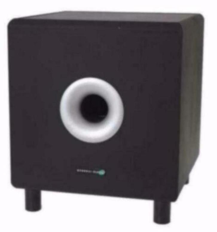 Actieve Subwoofer 25cm 120Watt Zwart, Audio, Tv en Foto, Luidsprekerboxen, Nieuw, Overige typen, Overige merken, Ophalen of Verzenden