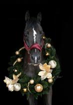 Kerstkrans voor fotoshoots, Dieren en Toebehoren, Ophalen