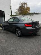 Bmw 2 coupé euro 6, Auto's, Euro 6, Leder, Bedrijf, Diesel