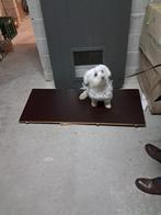 aluminium deur met opening voor hondenluik, Enlèvement, Neuf