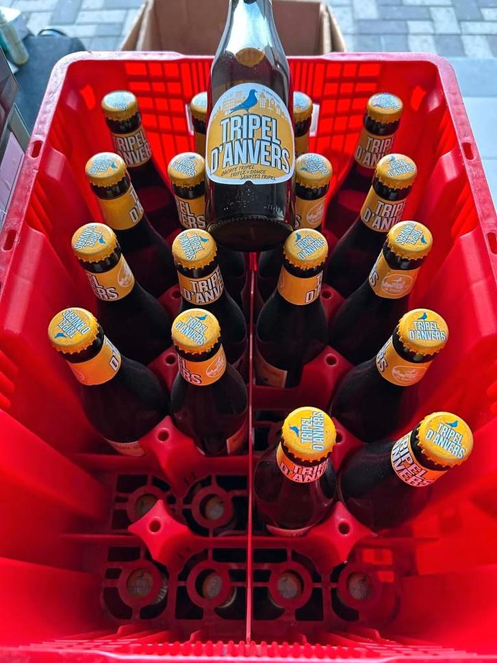 Tripel d'Anvers - De Koninck, Collections, Marques de bière, Neuf, Bouteille(s), De Koninck, Enlèvement