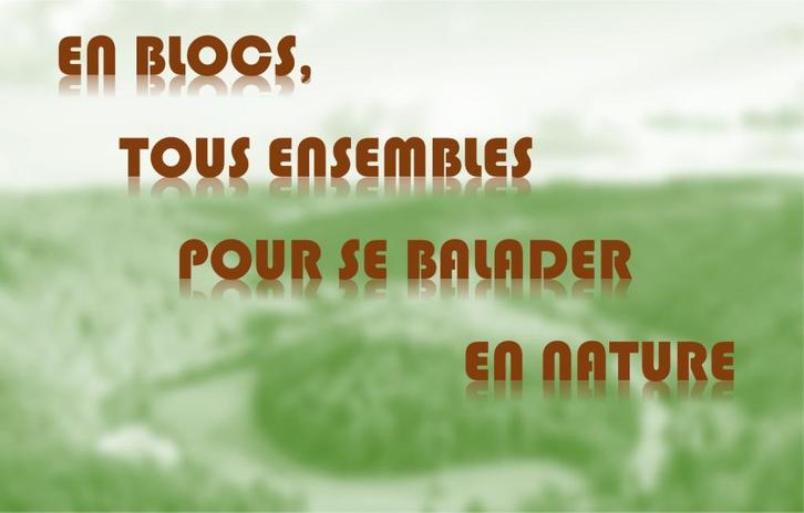 NIEUWE STEMPELBLOKKEN - BELGIË - EUROPA, Postzegels en Munten, Postzegels | Europa | België, Postfris, Frankeerzegel, Overig, Met stempel