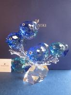 Swarovski prachtige items met mooie kortingen !!, Enlèvement ou Envoi, Neuf, Figurine