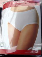 Nieuwe damesslips Minerva Classic, Kleding | Dames, Ondergoed en Lingerie, Minerva, Ophalen of Verzenden, Wit, Slip