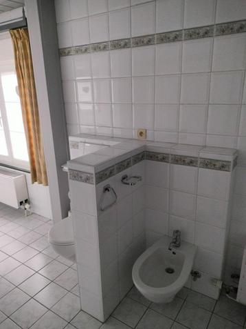 Hang-bidet/Mengkraan beschikbaar voor biedingen
