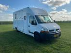 Renault - 2004 - Master 3.5T paarden veewagen - Vrachtwagen, Auto's, Renault, Overige brandstoffen, Bedrijf, Te koop