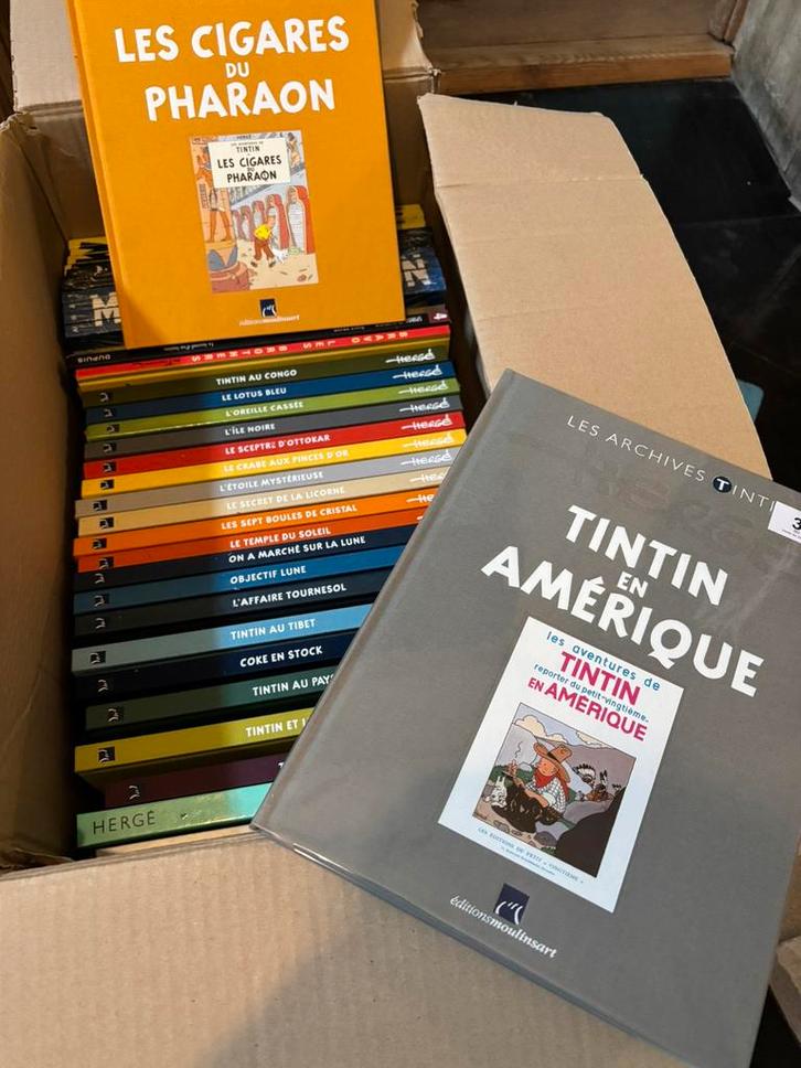 Les Archives Tintin, Boeken, Stripverhalen, Zo goed als nieuw, Ophalen of Verzenden