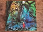 LP JACCO GARDNER CABINET OF CURIOSITIES(PSYCH POP ROCK), Enlèvement ou Envoi, 2000 à nos jours, Comme neuf, 12 pouces